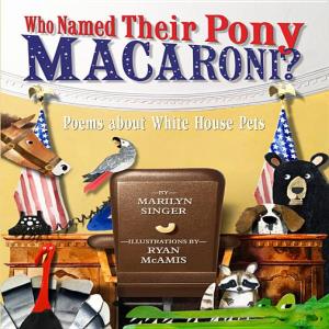 who-named-little-pony-names